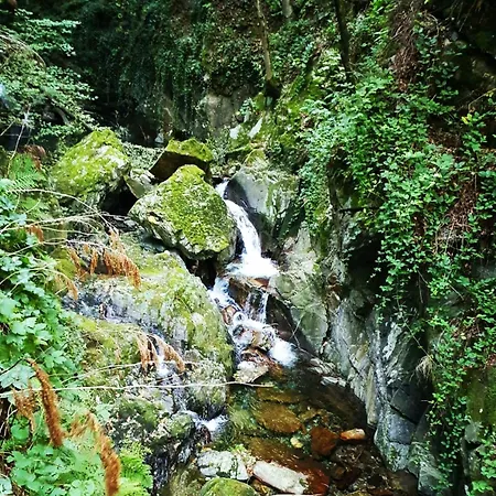 Casa Anna Relax E Natura Prázdninový dům Valstrona